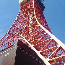 増上寺からすぐです