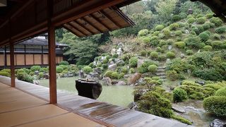 じっくりと見たかった…