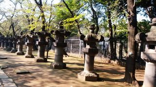 200基以上の石燈籠