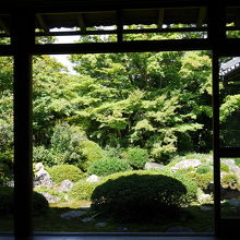 本堂から見る庭園