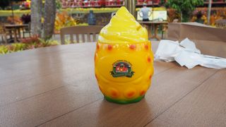 結構なテーマパーク