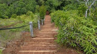 パラオのオプショナルツアー、良かった