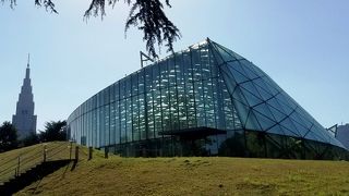 手入れの行き届いた屋内植物園