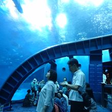 アクアルームです。