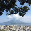 桜島と街並みが一望できる