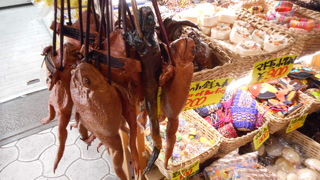 不思議なお店も