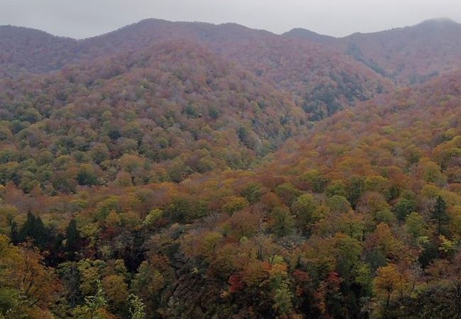 紅葉がきれい