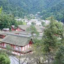 厳島神社を上から見られます