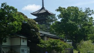 興福寺撮影のベストアングル