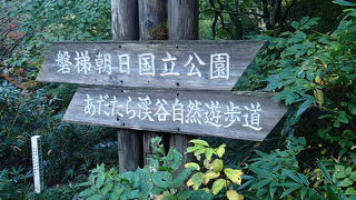 散策路は烏川沿いに整備されており、普段着でも可。