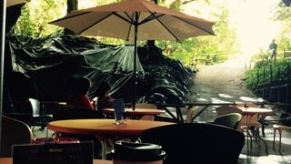 コーヒーだけの利用もOK