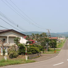 西女満別駅の森から出たところ。