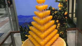 愛媛の名産をブレることなくPR