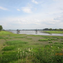 横から見るとまさに鶴が翼を広げたようだ。