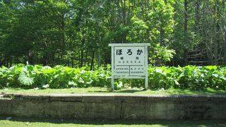 やさしい緑に包まれつつある駅の跡