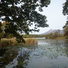 駒ヶ岳と小沼湖との景色が旨くまとまってます。