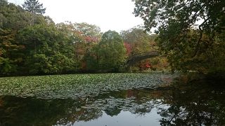 「夕日の道」で散策しながら、駒ヶ岳と散策路の橋と湖とで見事にまとまった景色が楽しめます。