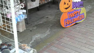 ハロウィンなど時節に合わせたディスプレイも