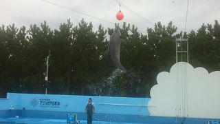 大きな水族館です