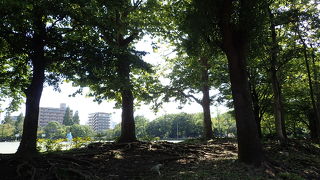 イベントに行って来ました