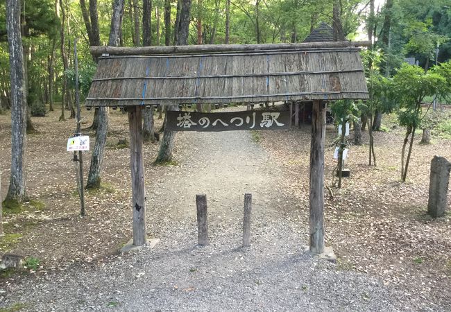森の中の駅