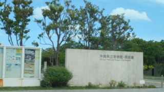 大きくてきれい