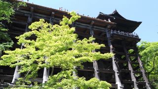 京都観光の定番