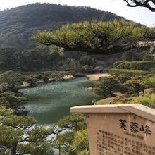 広い公園です。