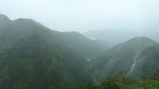 バスからの眺めも楽しめる