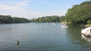 桜以外にも意外と見どころあります