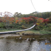 吊り橋です。5人までなら一緒に乗れ、けっこう揺れます。