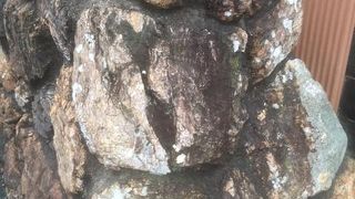 舞坂宿の江戸方がここにあったことを示す貴重な史跡です。