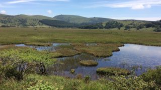 高山植物の宝庫！湿地を歩くと1時間ちょっと、素晴らしい場所です。