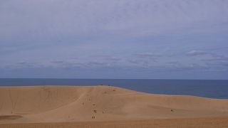 かなり体力が要りそうです