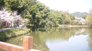 観光客で賑わう