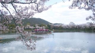 真言宗大覚寺派の本山