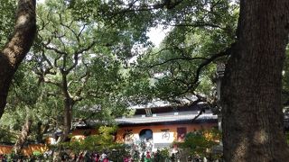 黄色い屋根が特徴です。