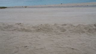 綺麗な砂浜