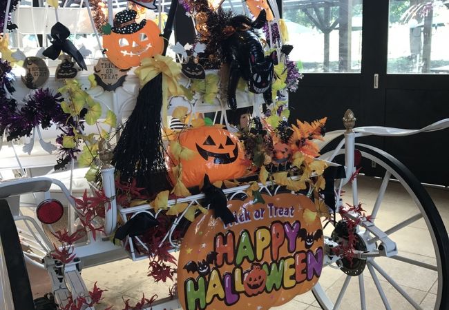 楽しいですが、食事系はダメ