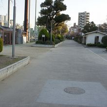 広いスポーツ公園なのね