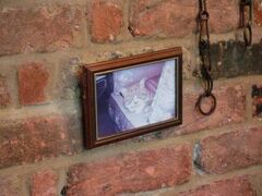 The Chequers Inn 写真