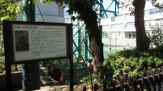 英語学者でした