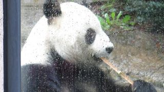 広い敷地・・・いろんな動物に触れ合えます