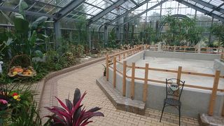温室が改装中で残念な姿に