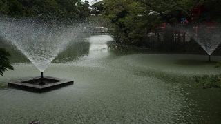 池の噴水がさわやかです