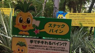 パイナップル関係のおみやげ