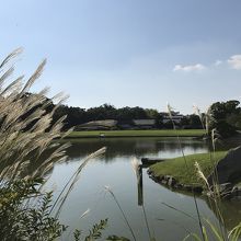 島茶屋からの池の風景