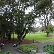 都心に隣接した広い公園