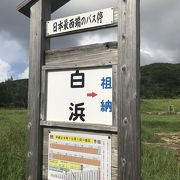 唯一の公共交通手段