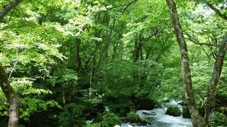 ２回目ですが、また行きたいです！